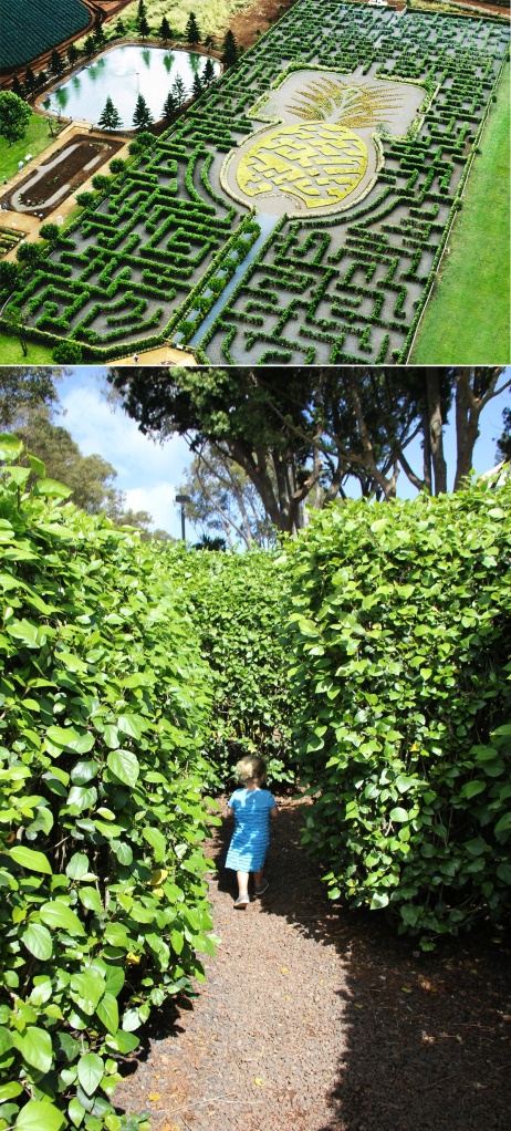 labirinto-dole-plantation-hawaii-abacaxi