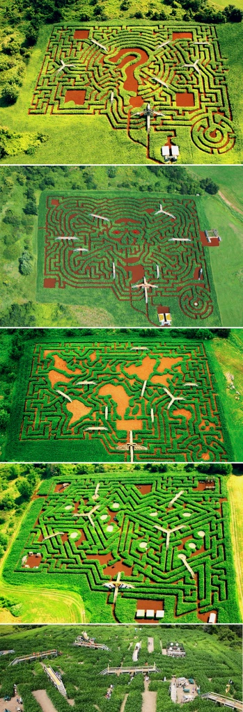 labirinto-milho-davis-mega-maze-Massachusetts